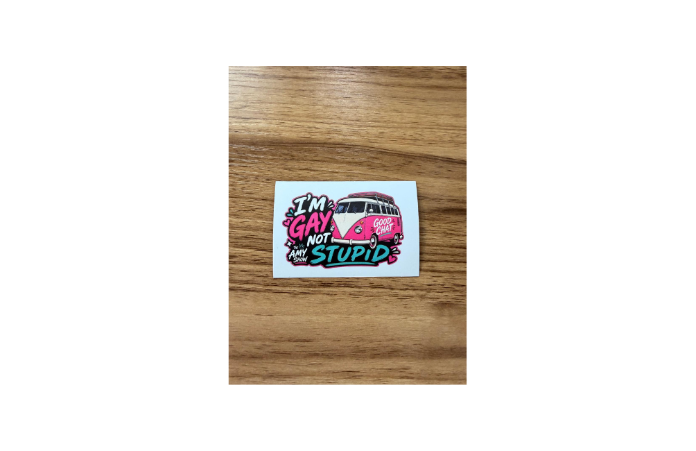 I’m Gay Not Stupid Magnet 🌈